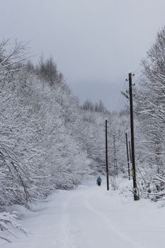 A person walks down a snow-covered path amidst a serene winter forest landscape.