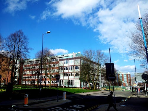 White and Brown Building