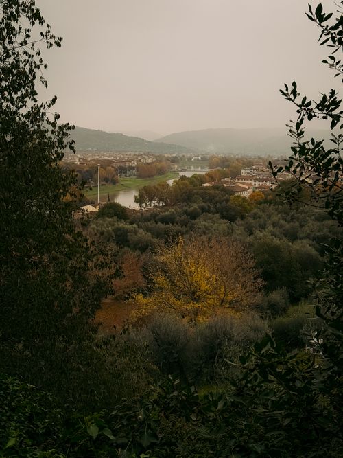 Free Explore the serene autumn landscape of Florence with vibrant foliage and rolling hills. Stock Photo