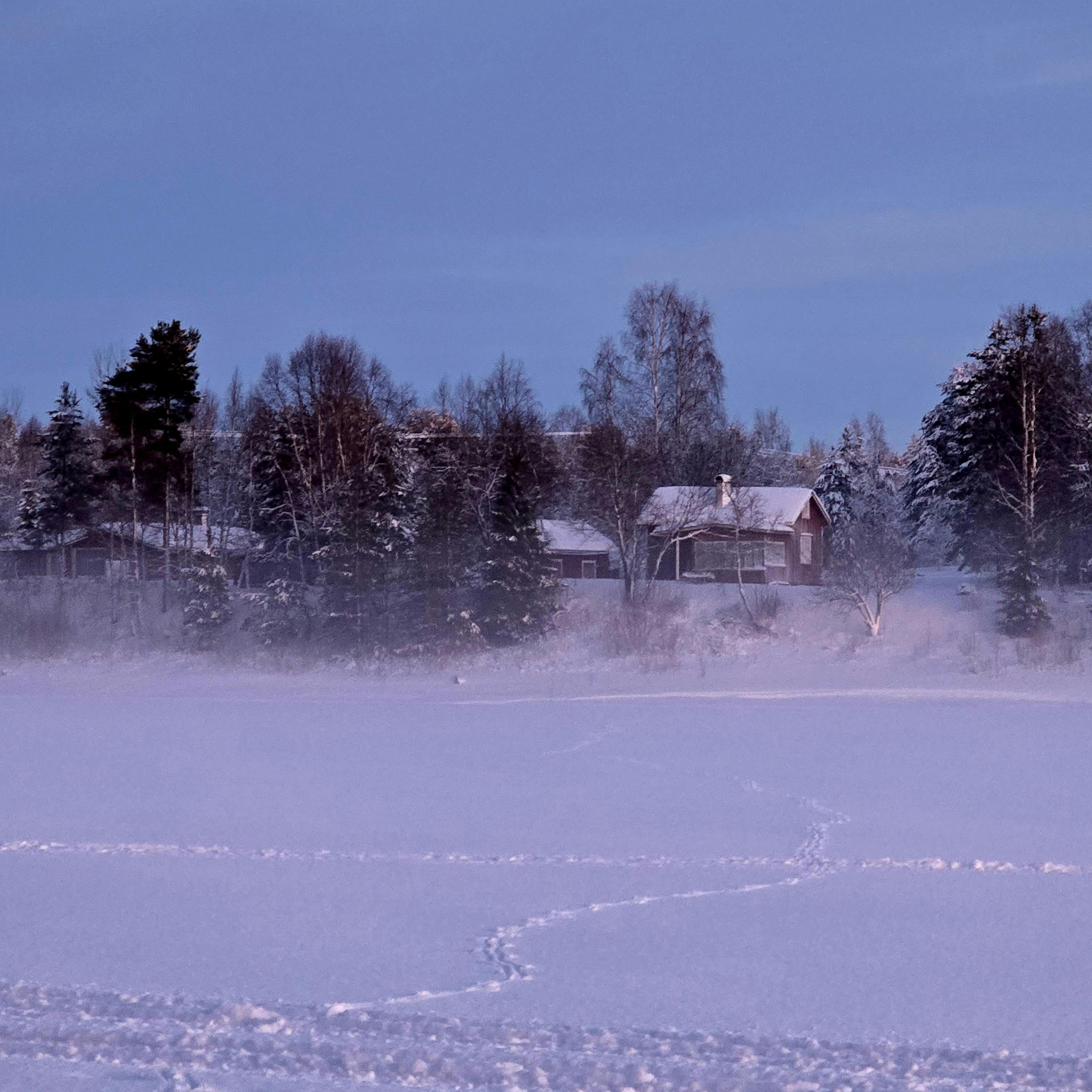 South Savo
