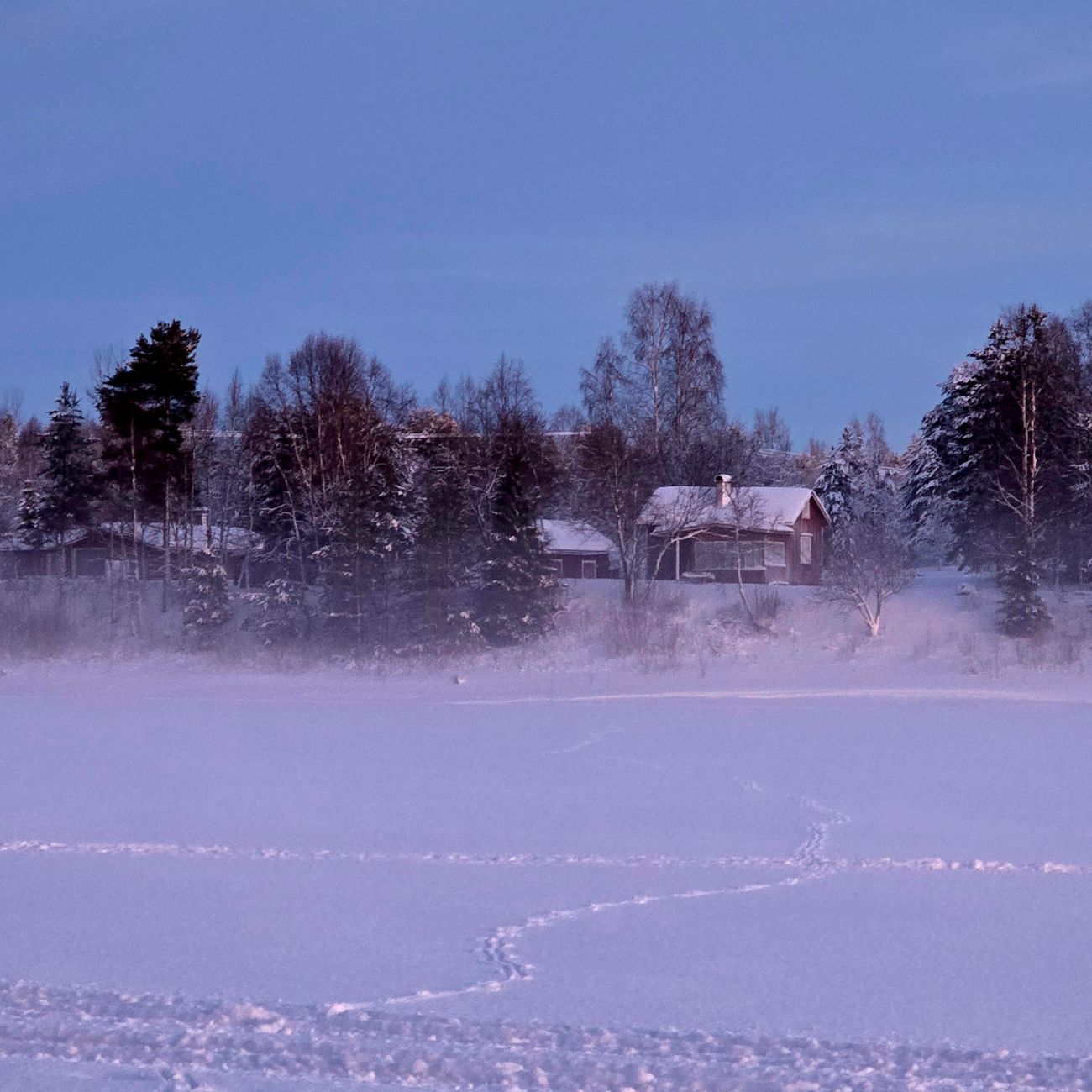 South Savo