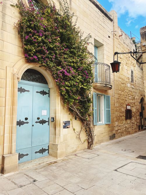 Free Quaint Mediterranean street with ivy-clad stone buildings and vibrant blue doors. Stock Photo