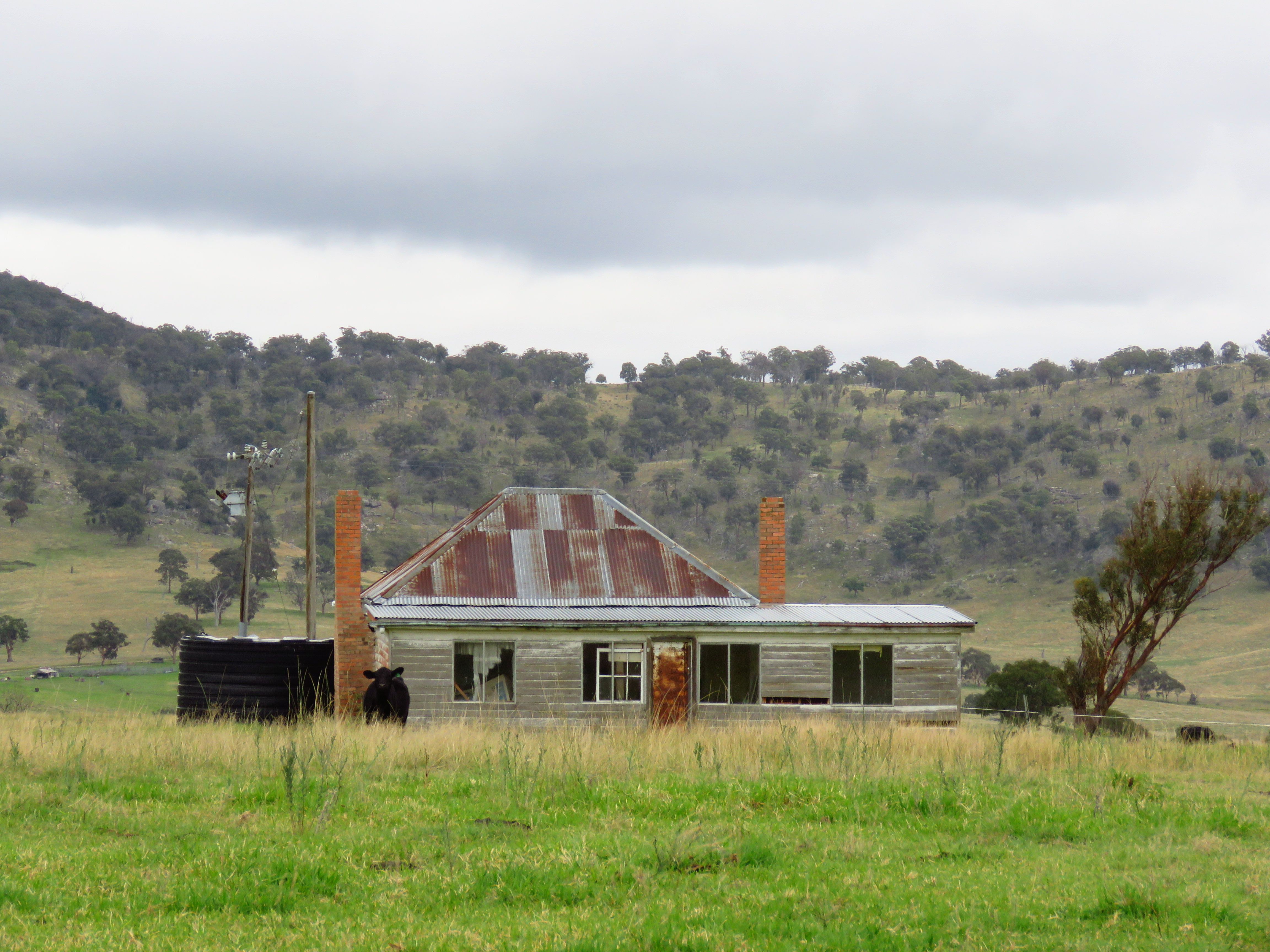 Rustic timber farmhouse amidst rolling hills in Tenterfield, Australia.