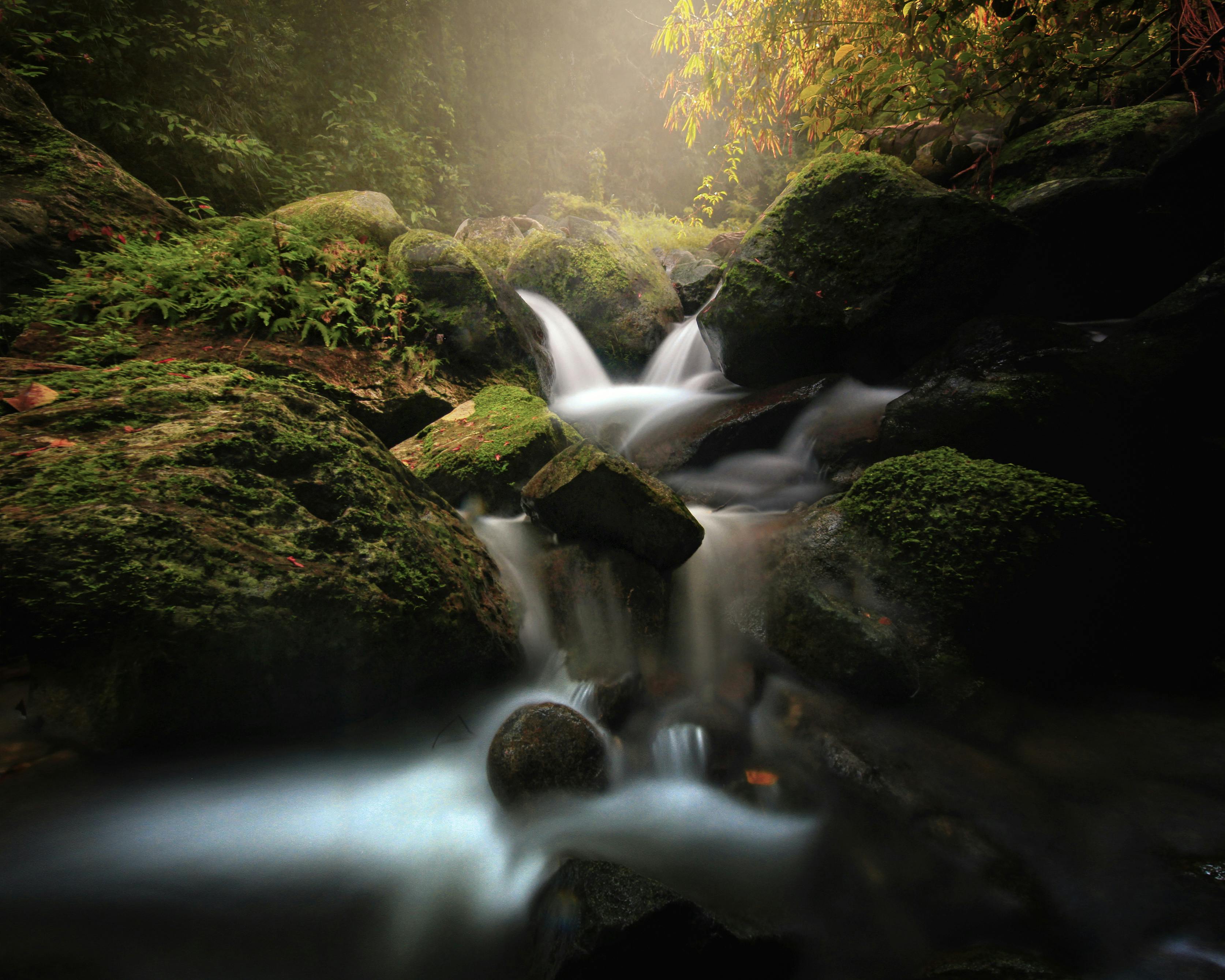 streaming discovery id — Photo by Muhammad Hary on Pexels