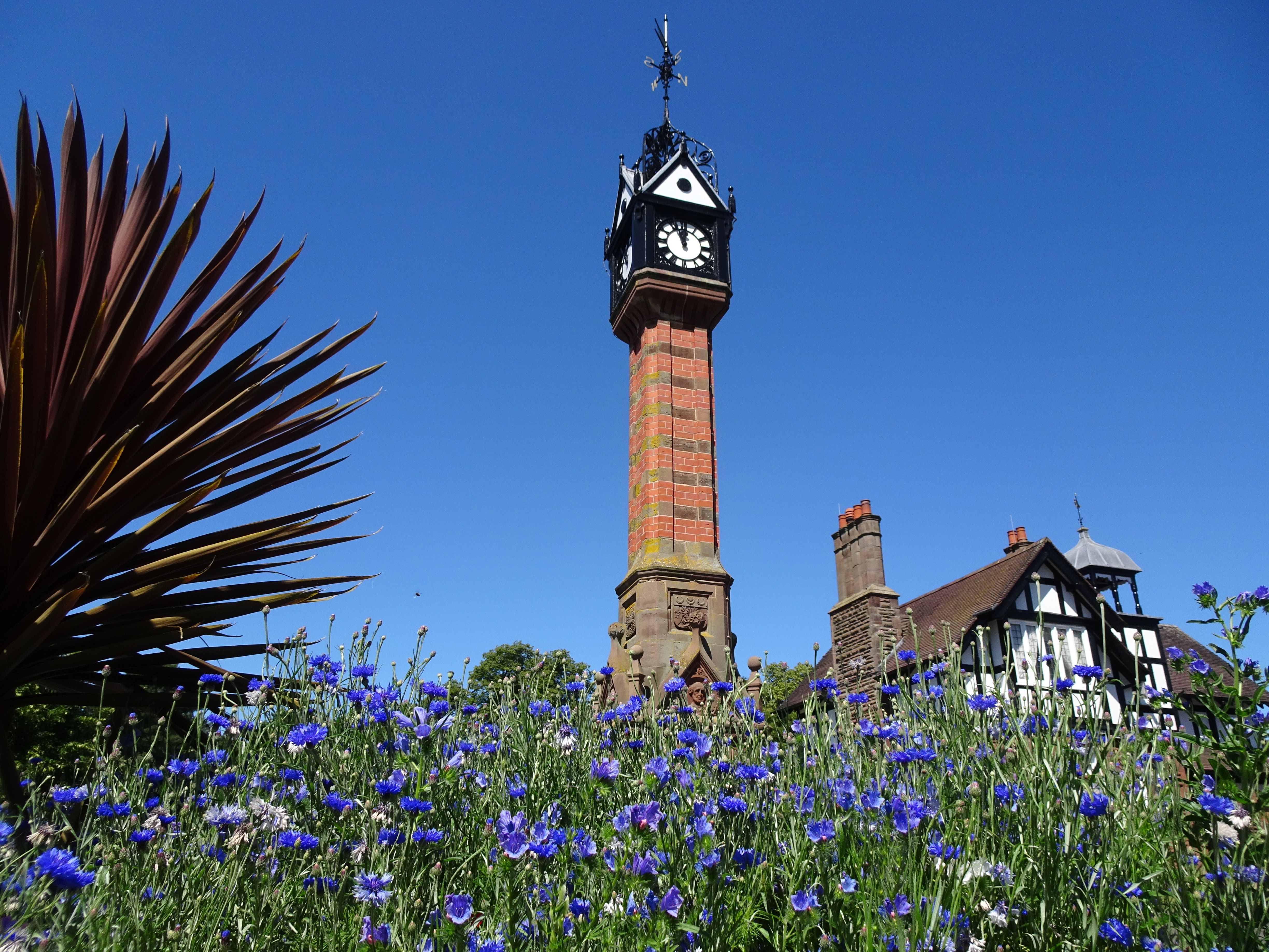 Historic Clock Tower in Blooming Floral Garden · Free Stock Photo