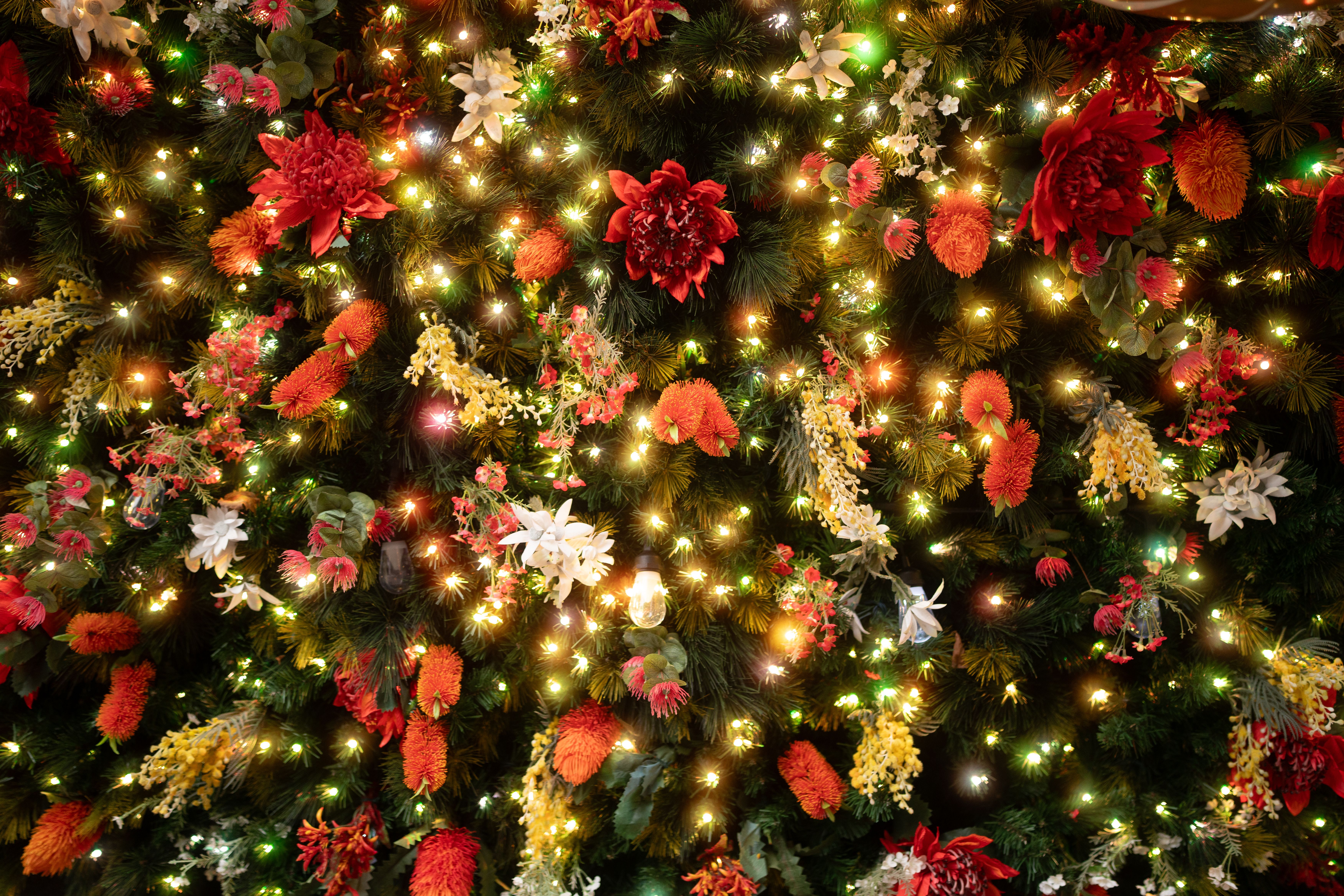 Vibrant Christmas Tree Decoration with Lights · Free Stock Photo
