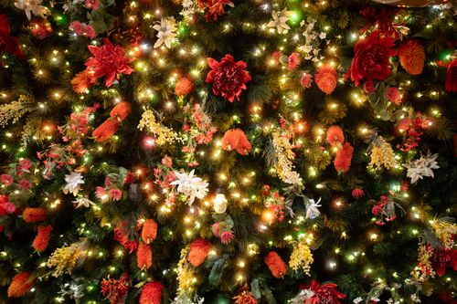 Free Festive Christmas tree adorned with colorful flowers and glowing lights, creating a vibrant holiday atmosphere. Stock Photo