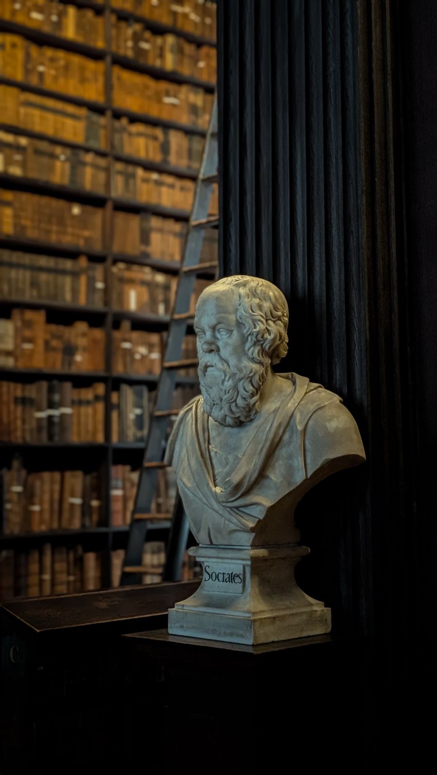 Academia