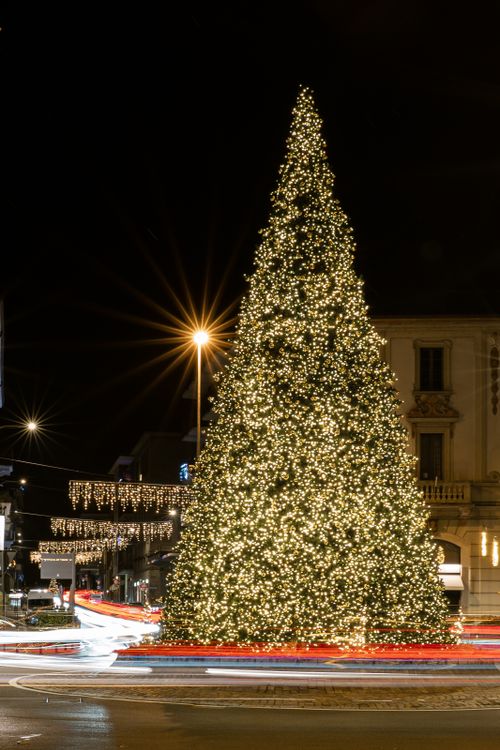 Free A grand Christmas tree with festive lights brightens a city square at night, capturing the holiday spirit. Stock Photo