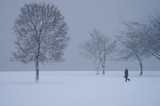 A solitary person walks through a snowy landscape with bare trees in winter.
