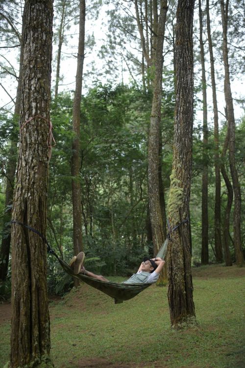 Free A person relaxing in a hammock surrounded by lush trees in West Java, Indonesia. Stock Photo