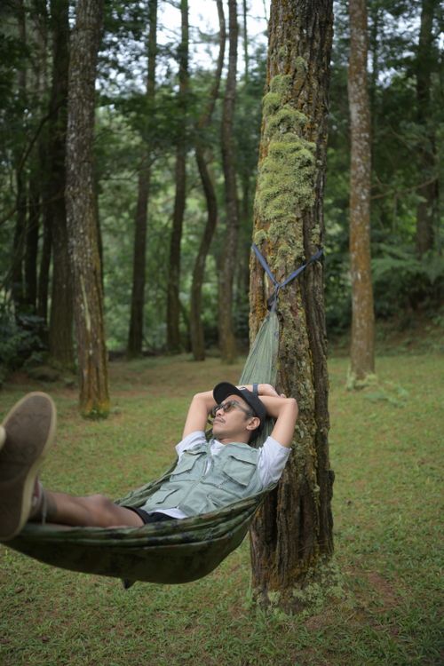 Free A person relaxing in a hammock amidst a lush forest in West Java, Indonesia. Stock Photo