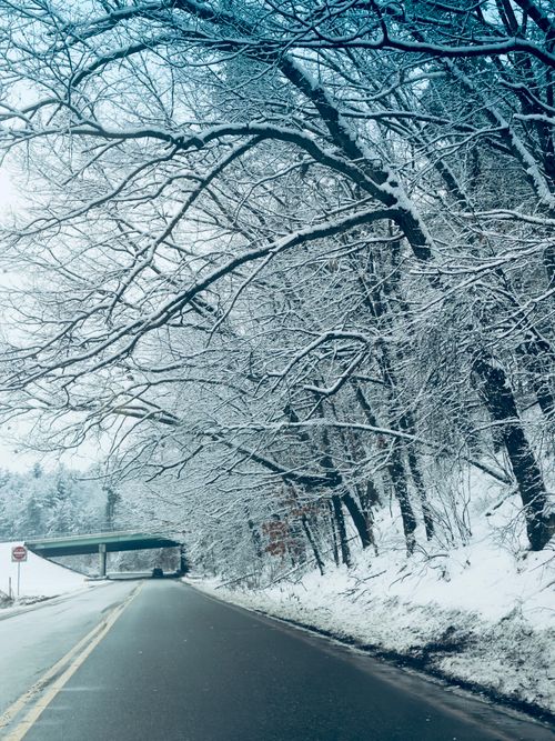Free A scenic winter road lined with snow-covered trees and a bridge in the distance. Stock Photo
