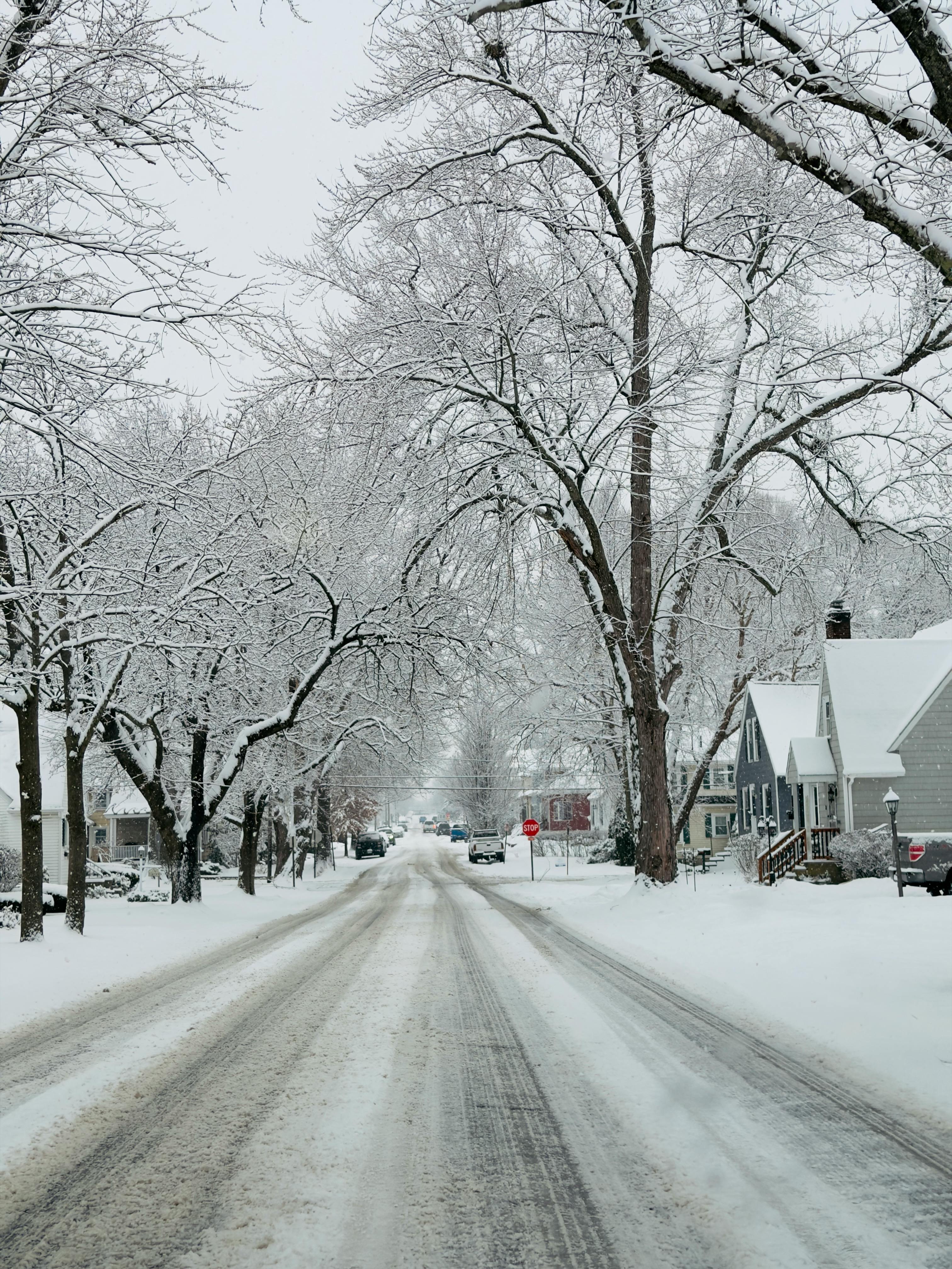 Idyllic suburban street blanketed with snow and frost-covered trees in winter.