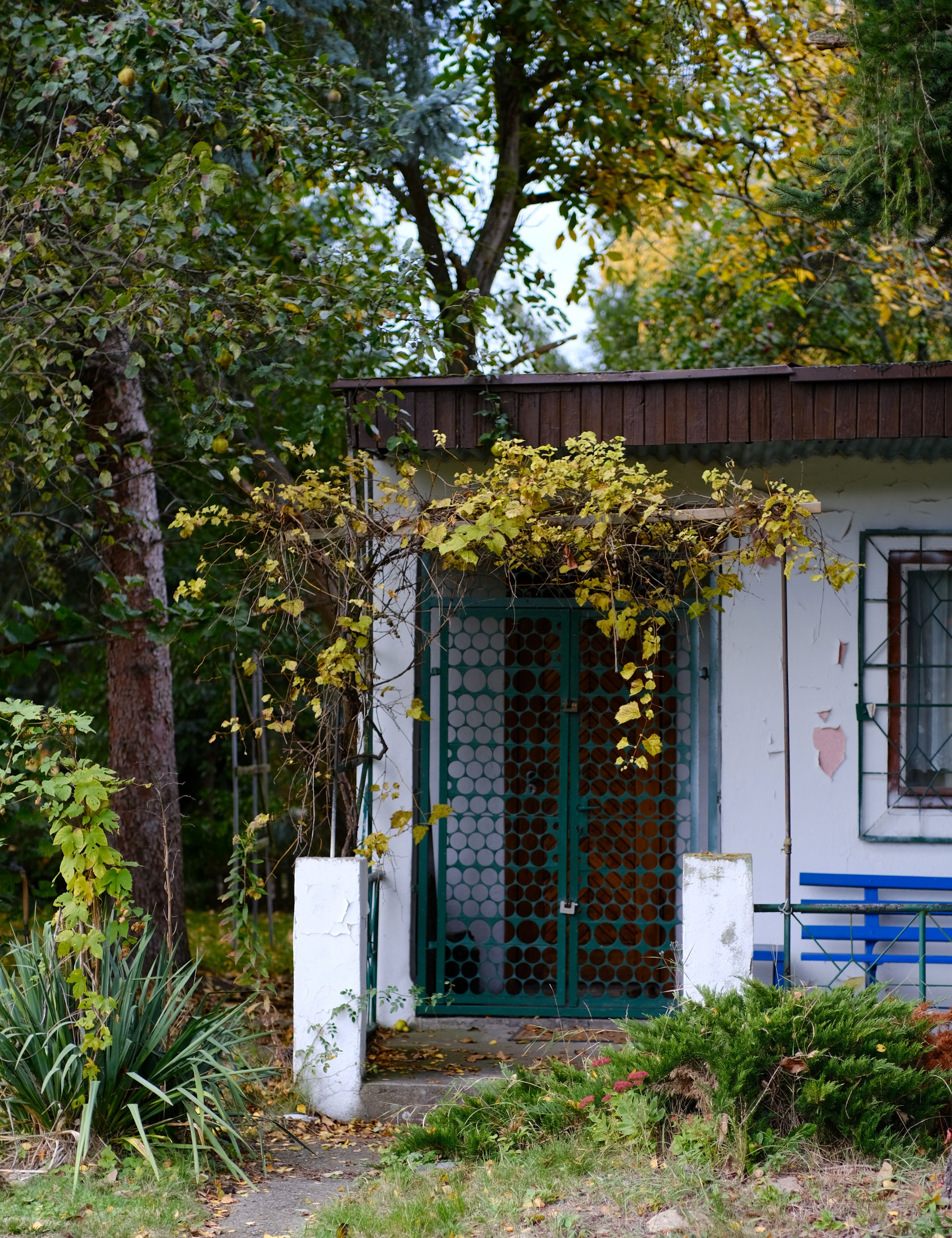 Charming Rustic Cottage in Garden Setting · Free Stock Photo