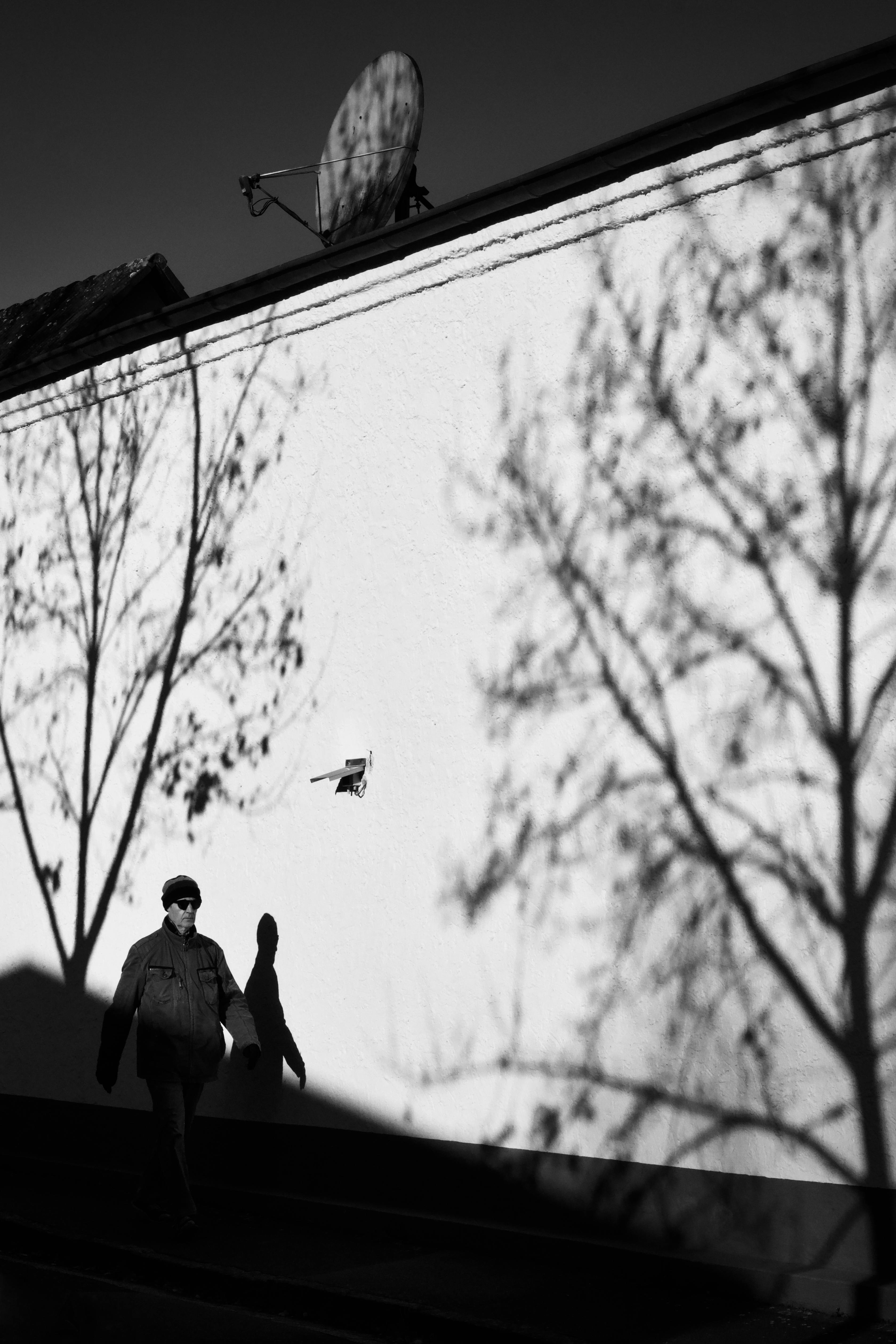 Miễn phí Một người đi ngang qua bức tường với những bóng cây, tạo nên hiệu ứng hình bóng ấn tượng. Ảnh lưu trữ