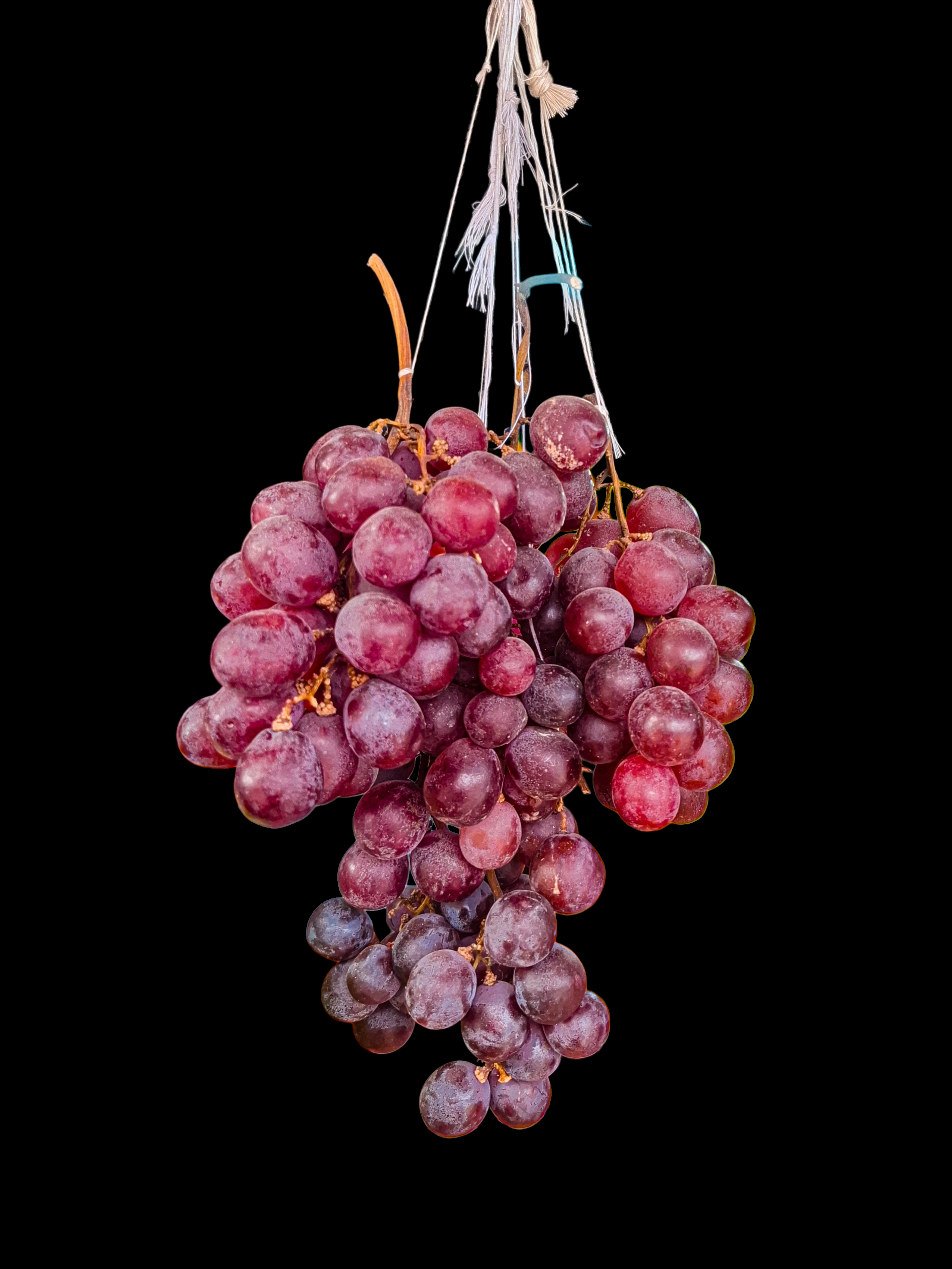 A bunch of ripe red grapes hanging against a black background, showcasing vibrant colors.