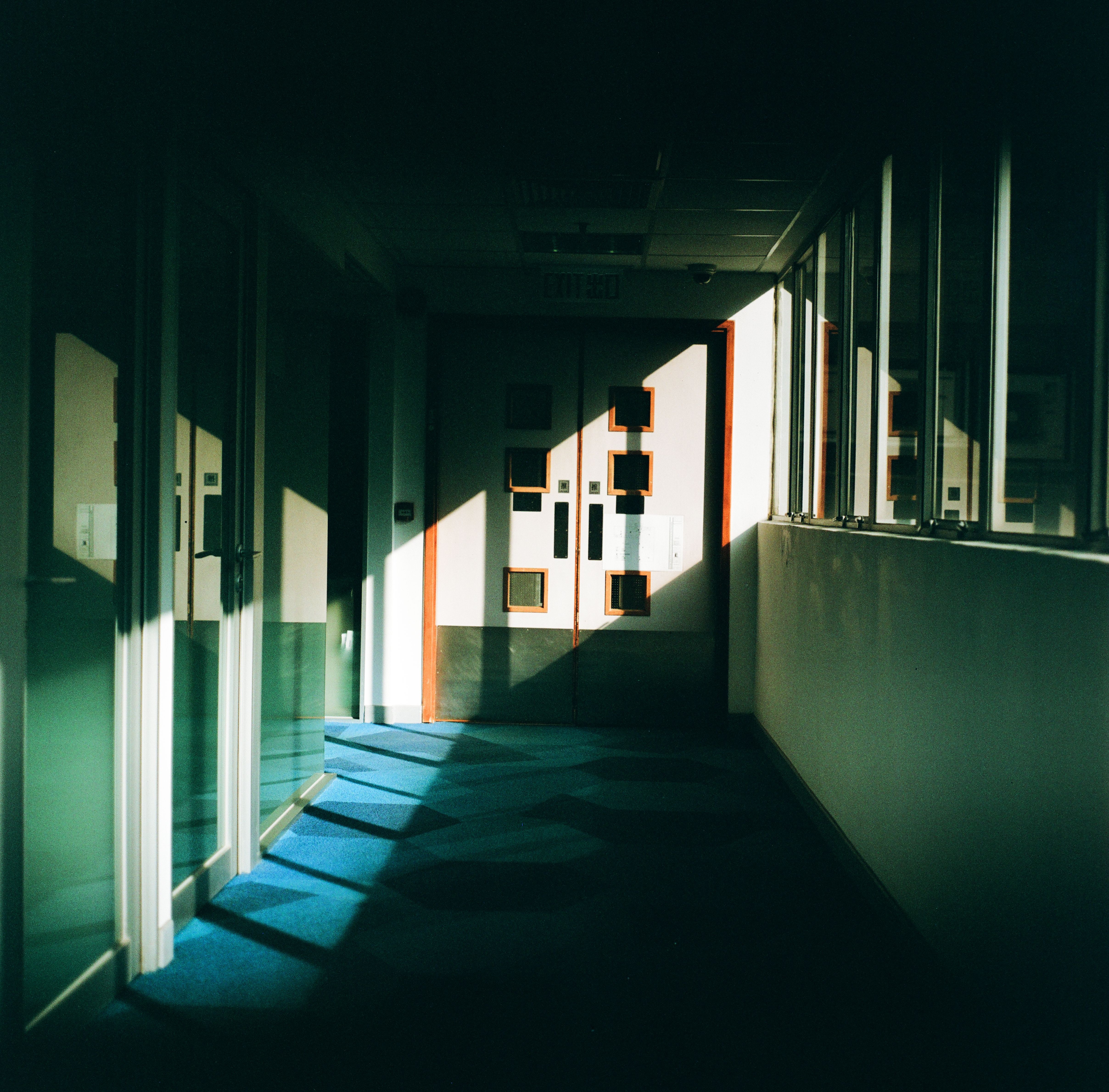 Voices Unheard: How School Shapes Mental Health for Gender and Neurodiverse Youth — Photo by Tito Zzzz on Pexels