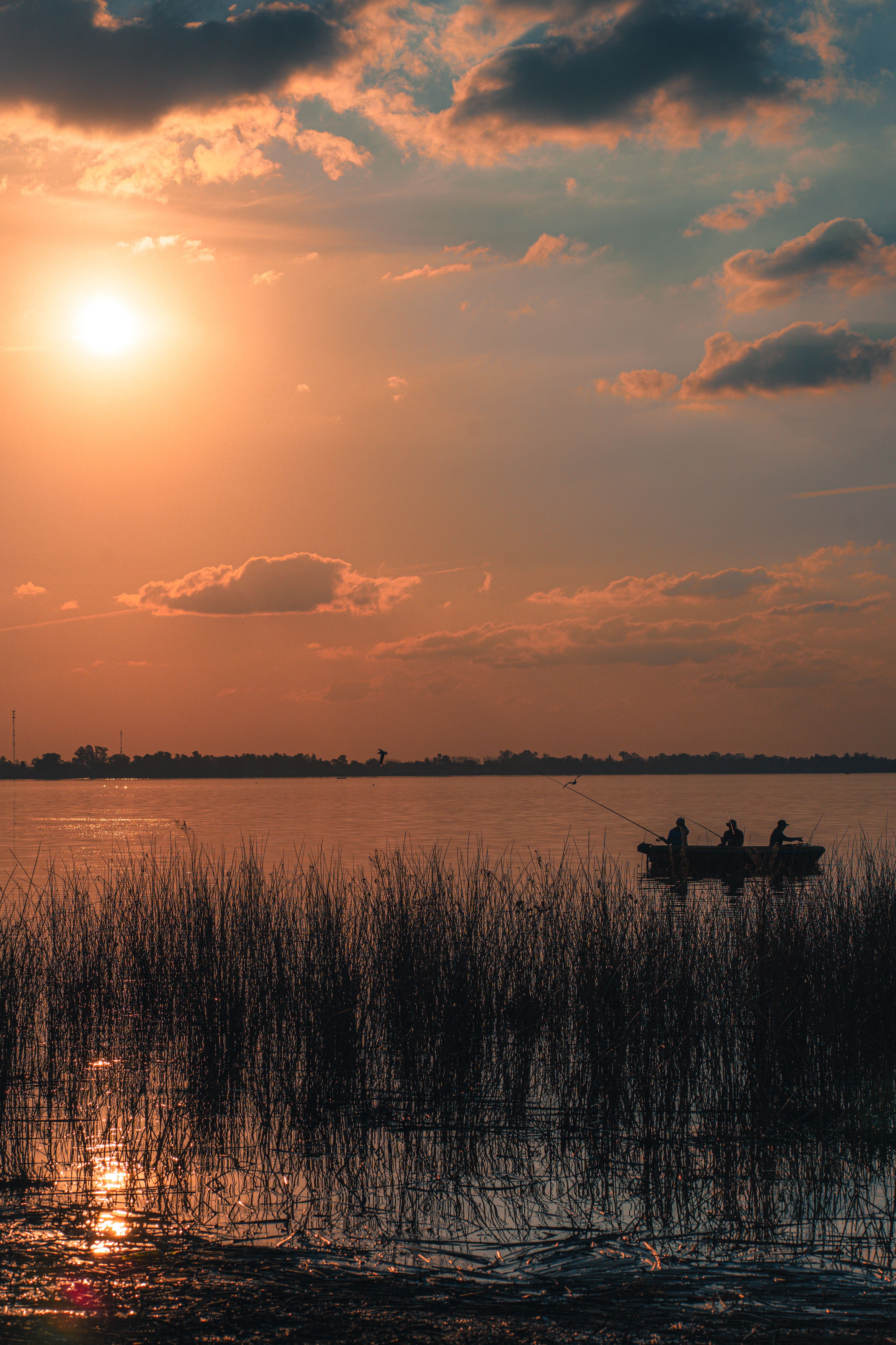 Serene Sunset Fishing on a Tranquil Lake · Free Stock Photo