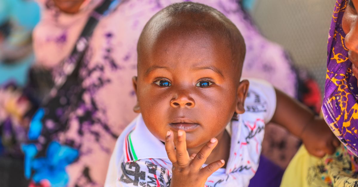 Photo of Sudan