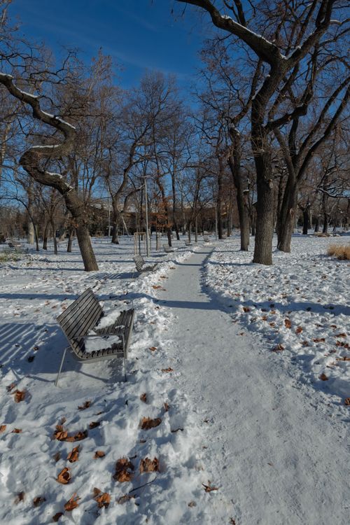 Free A serene winter scene of a path through a snowy park in Budapest. Stock Photo