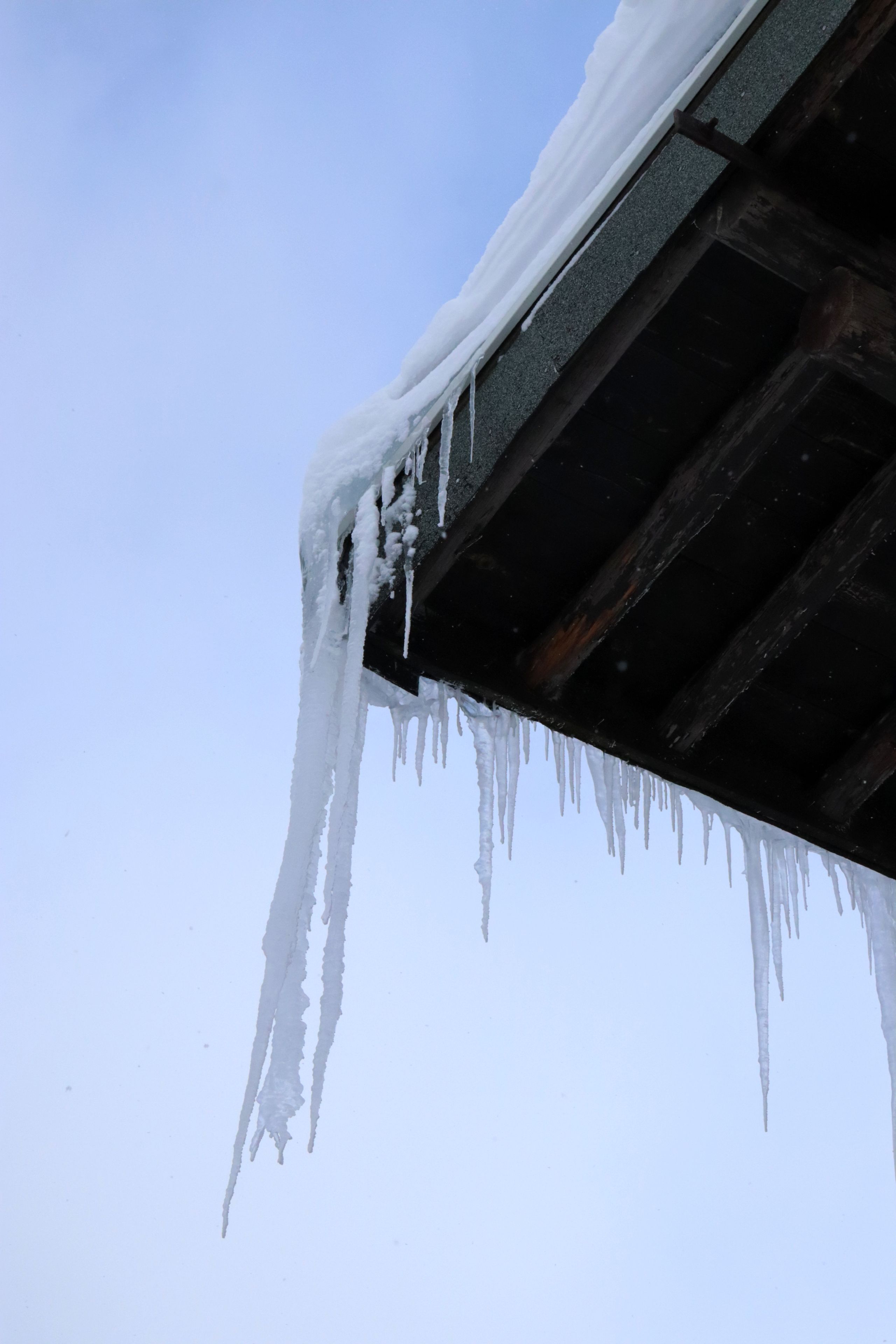 Cold+Pfp Photos, Download The BEST Free Cold+Pfp Stock Photos & HD Images