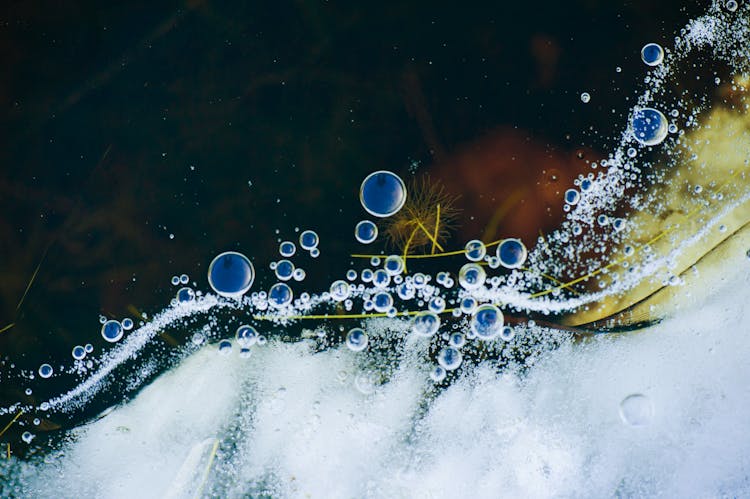 Close-up View Of Air Bubbles In A Liquid