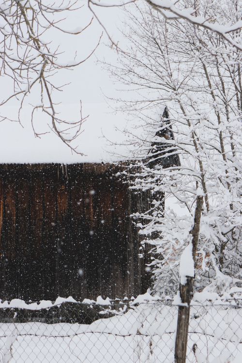 Free Serene snowy landscape featuring a rustic wooden barn and bare winter trees. Stock Photo