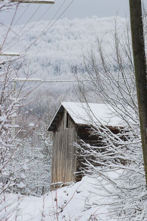 Free A quaint wooden cabin nestled in a serene snow-laden winter landscape, surrounded by white-draped trees. Stock Photo