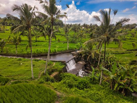 Munduk waterfalls and coffee plantation — Bali