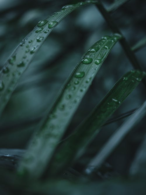 后雨, 喜怒無常, 壁紙 的 免费素材图片