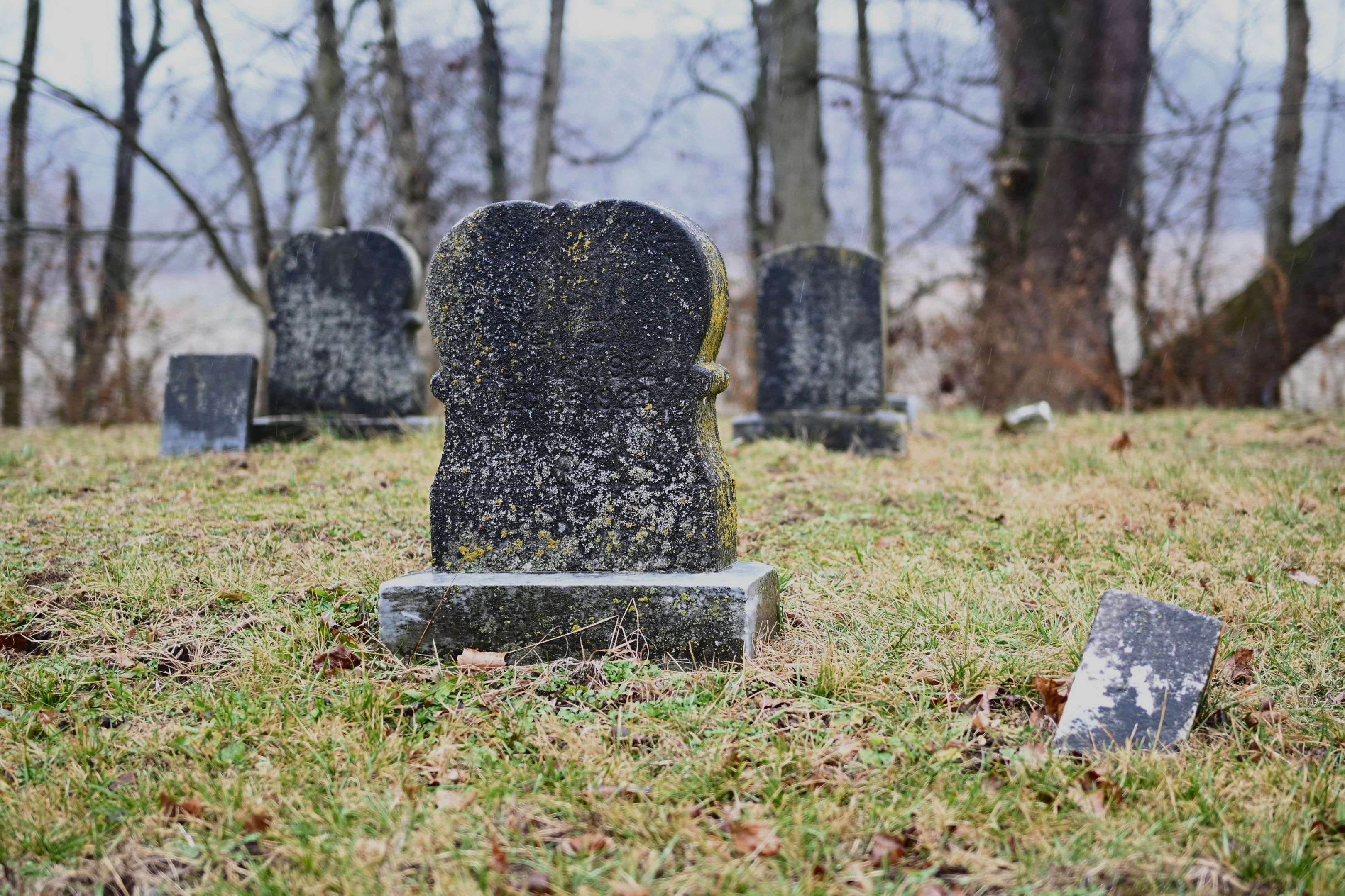 Aged Headstones in Quiet Woodland Cemetery · Free Stock Photo