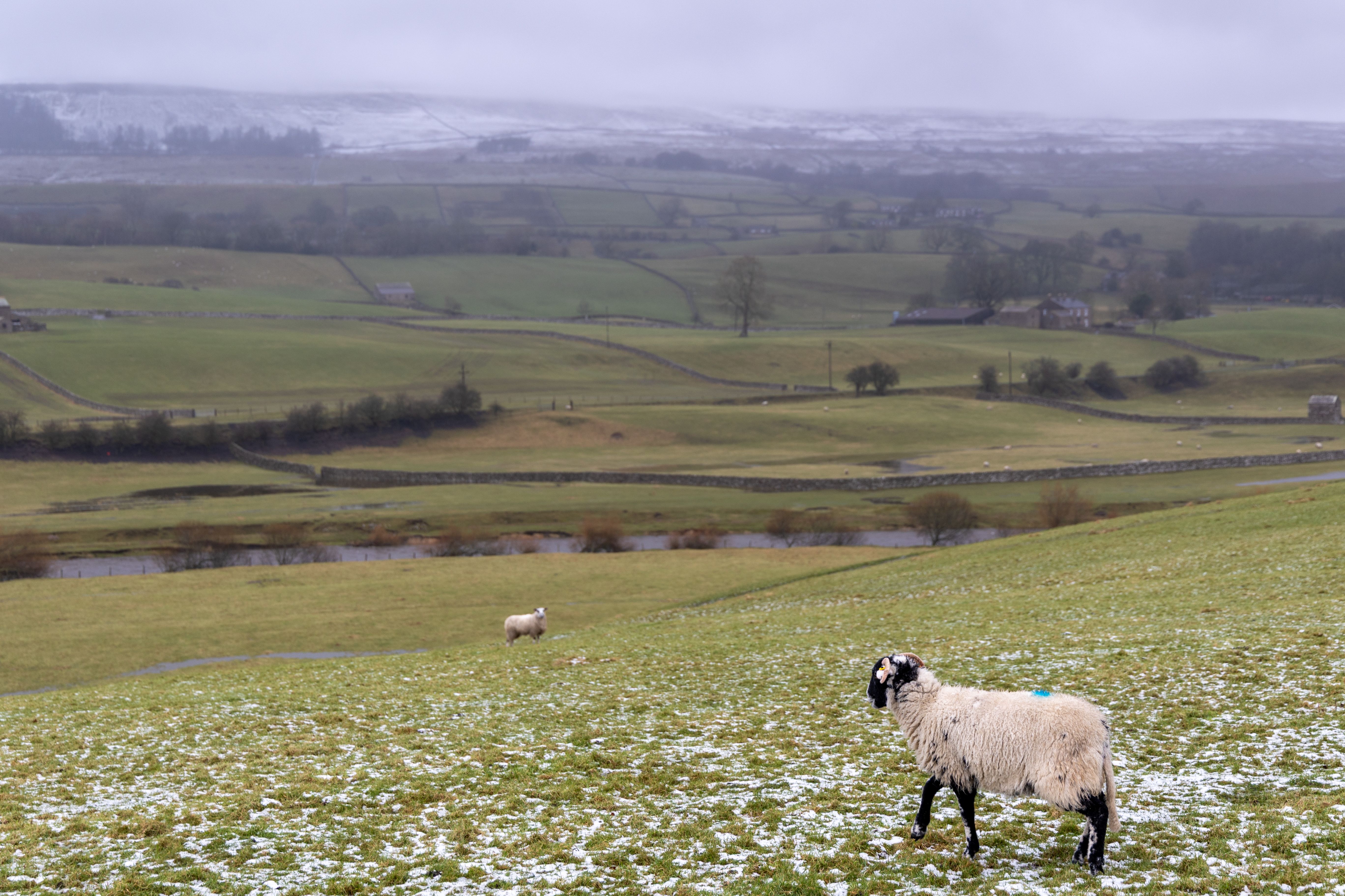 Winter Landscape of the Yorkshire Dales · Free Stock Photo