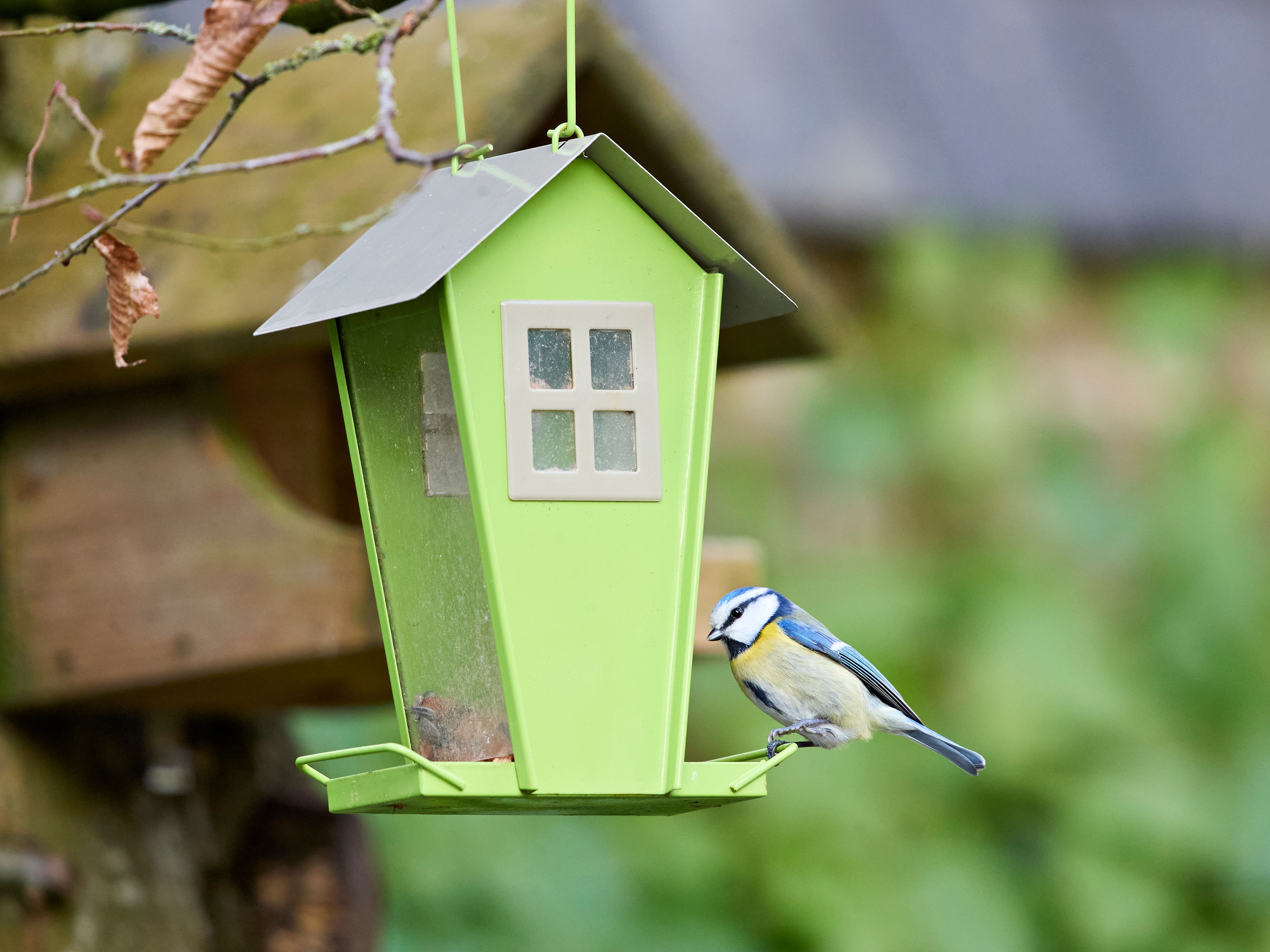 Vogelhaus aus Naturmaterial selber bauen: 8 DIY-Ideen — Material-Übersicht