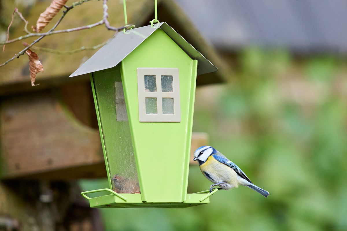 Vogelhaus aus Naturmaterial selber bauen: 8 DIY-Ideen — Material-Übersicht
