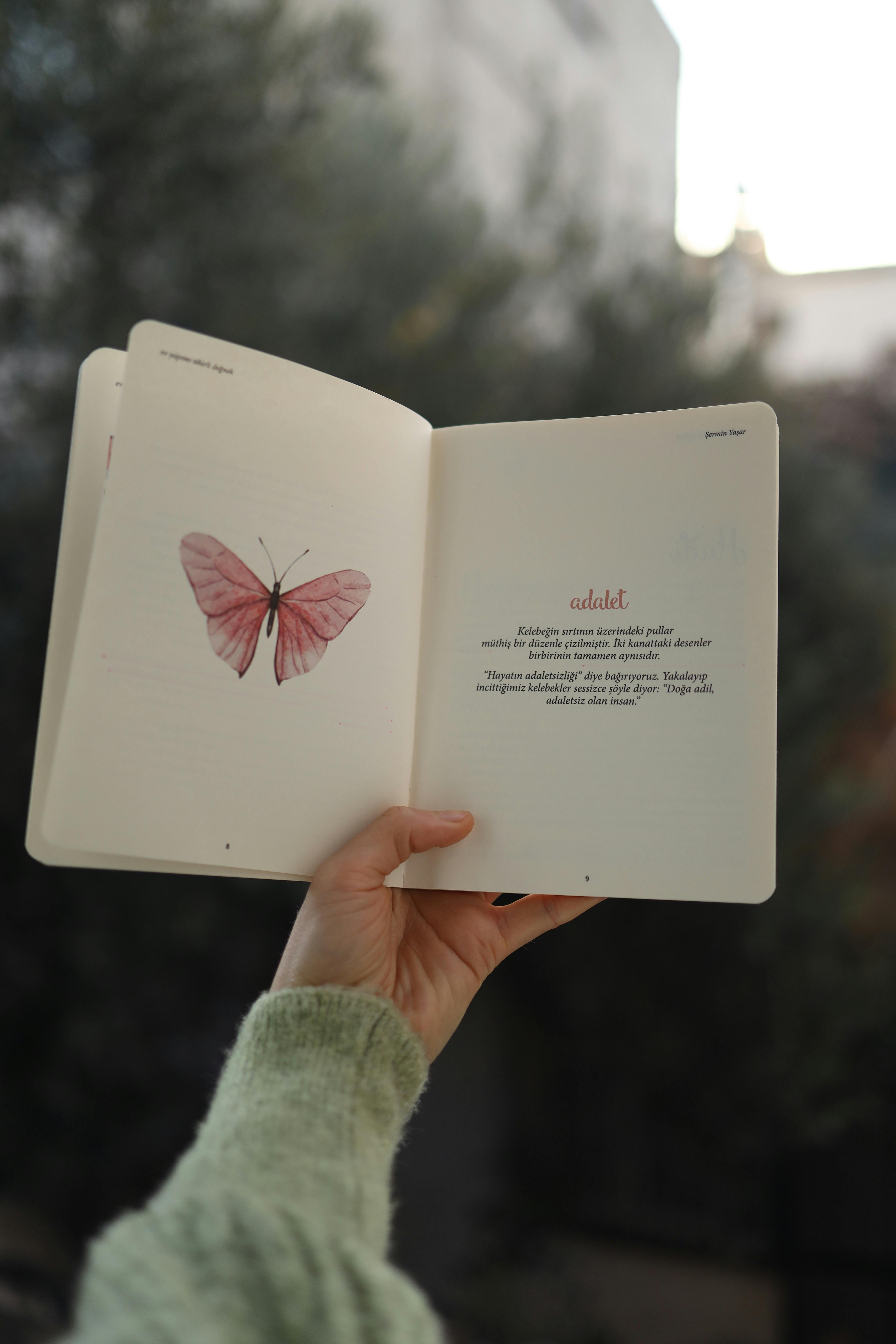 Open book with a pink butterfly illustration held outdoors on a sunny day.