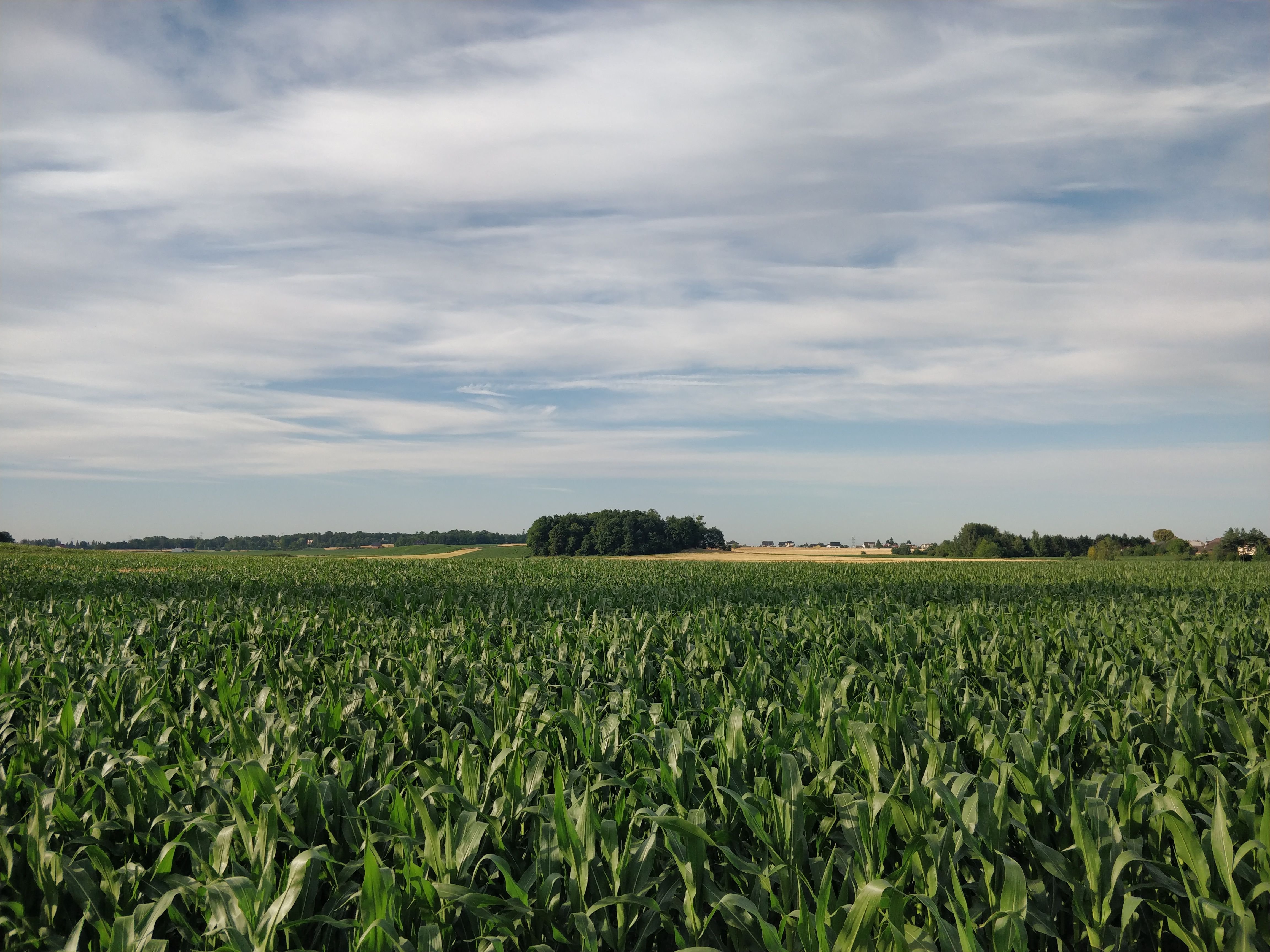 Corning — Corning