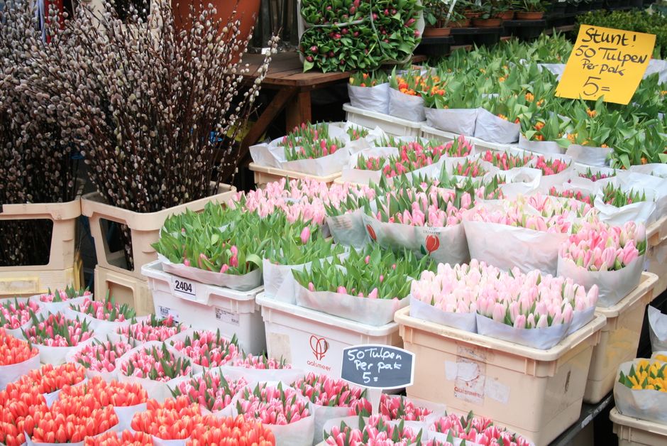 Colorful tulip bouquets displayed for sale at a flower market stand in Amsterdam.
