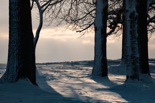 Free Captivating winter sunrise at Cove Island Park, Stamford, Connecticut. Snowy landscape with tree shadows. Stock Photo