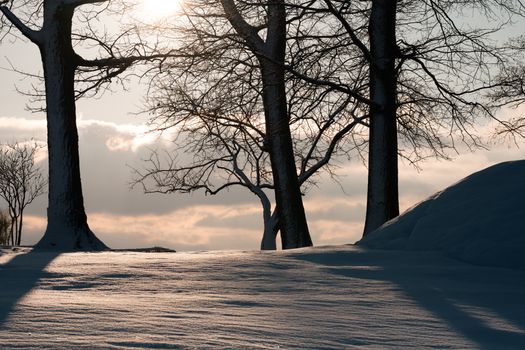 Captivating winter sunrise over snow-covered landscape at Cove Island Park, Stamford, CT.
