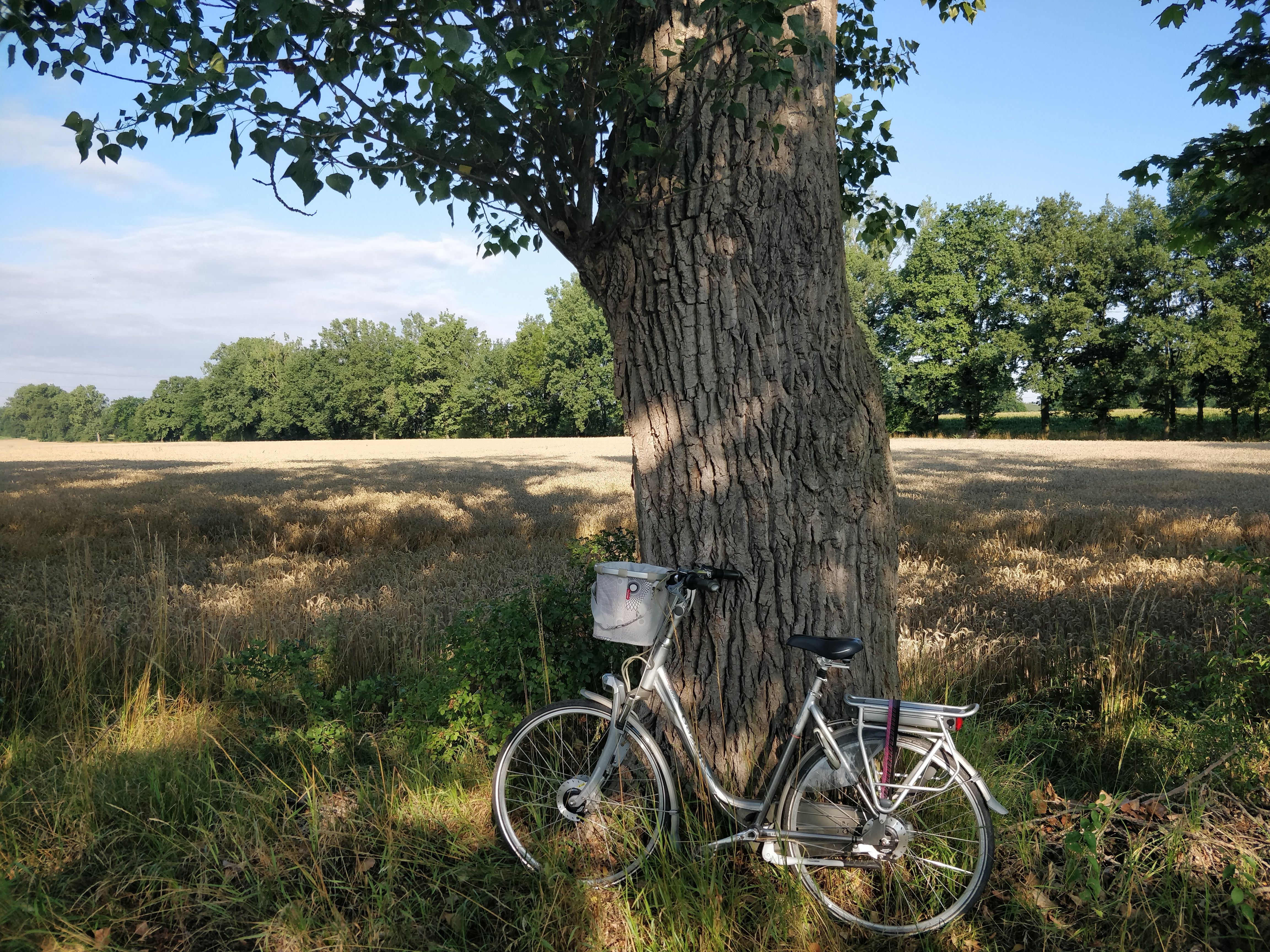 Complete riemfiets
