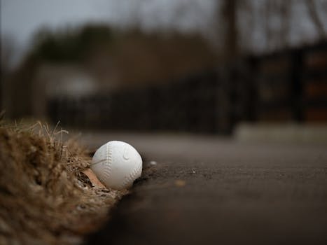 Baseball rests by the roadside, creating a moody, nostalgic scene with blurred background.