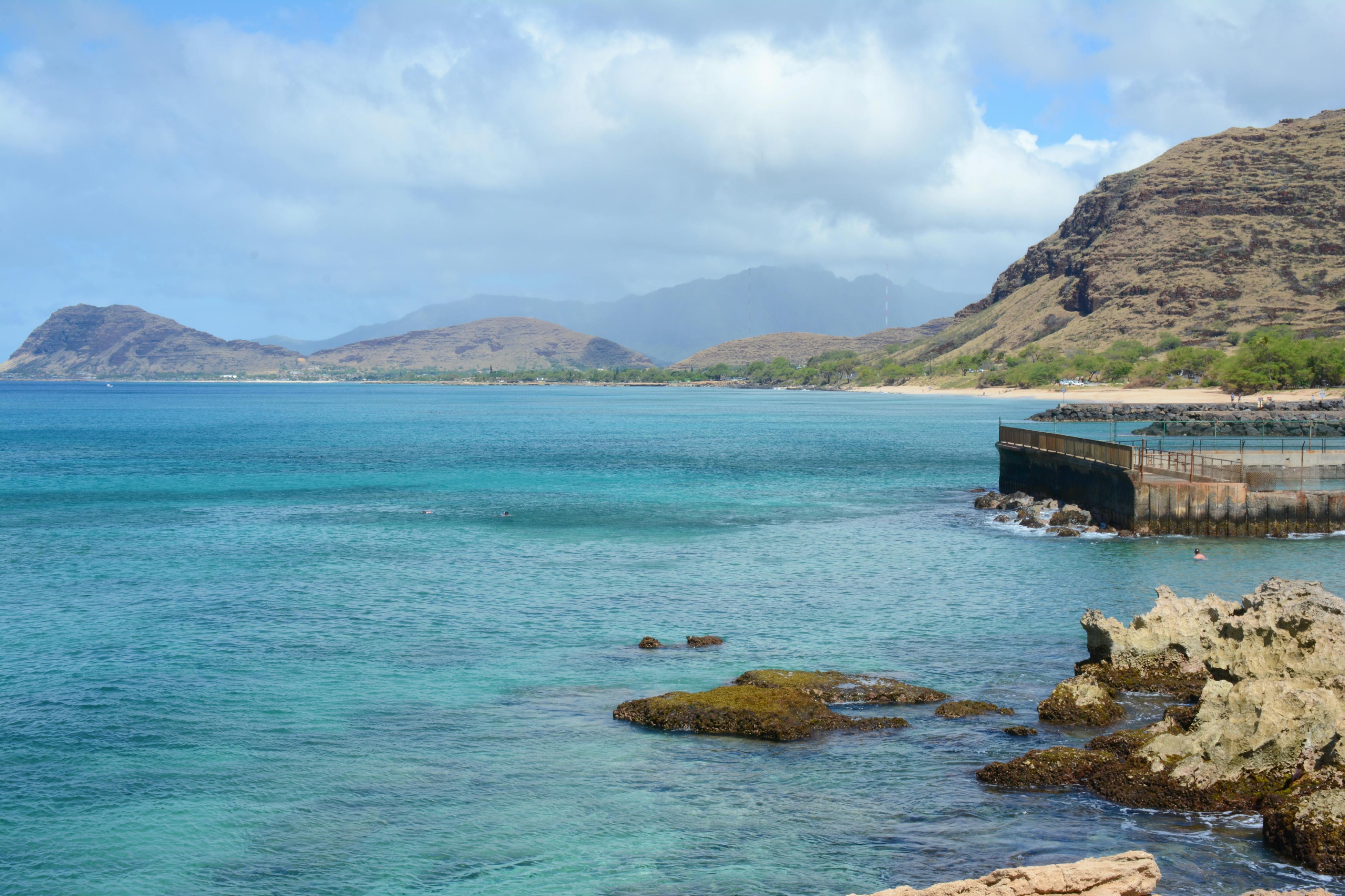 Hawaii Island Seed Bank helps build climate resilience - Hawaii Tribune — Photo by Jeff Wiles on Pexels