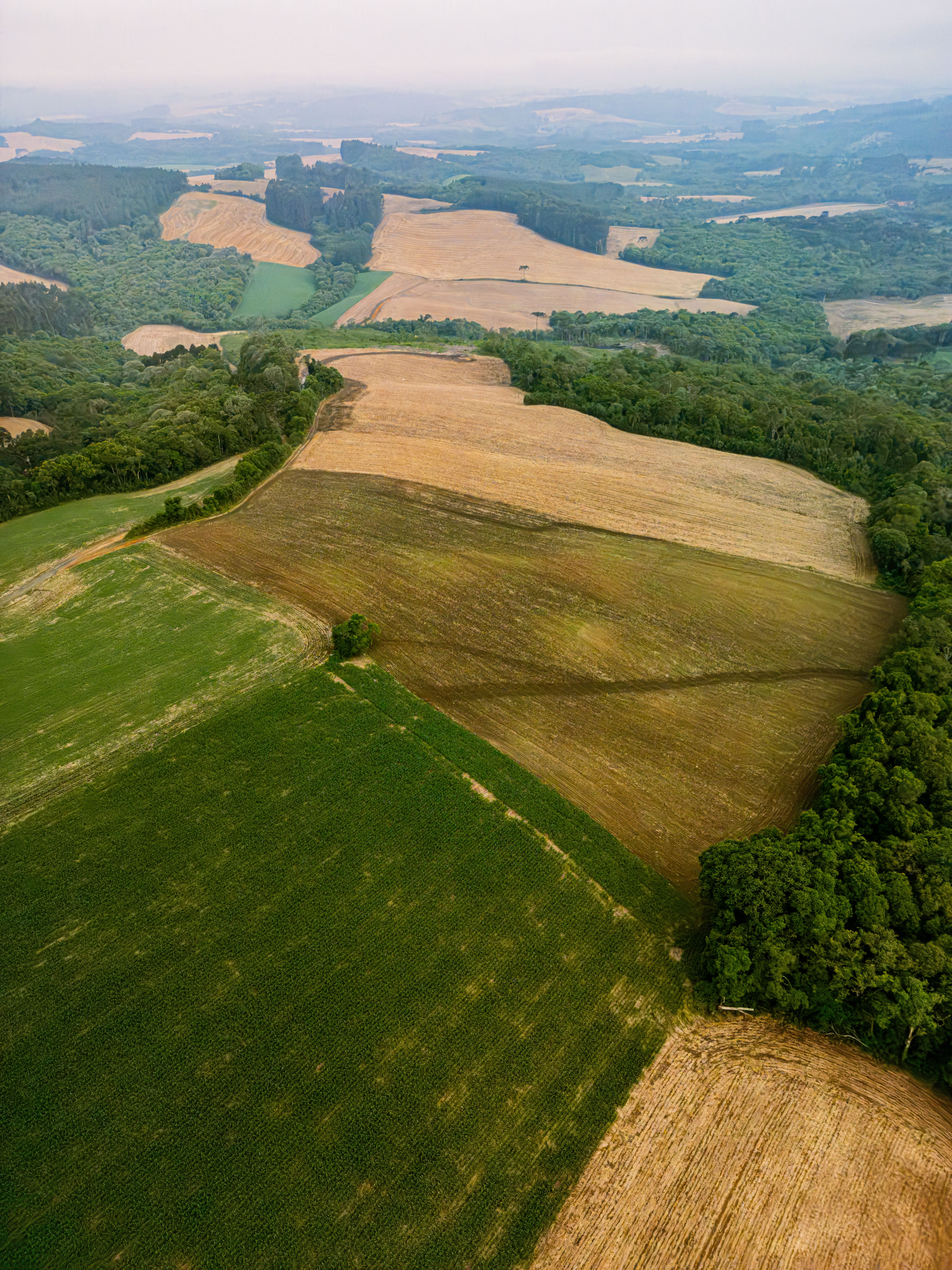 Desenvolvimento Agrícola em Santa Catarina