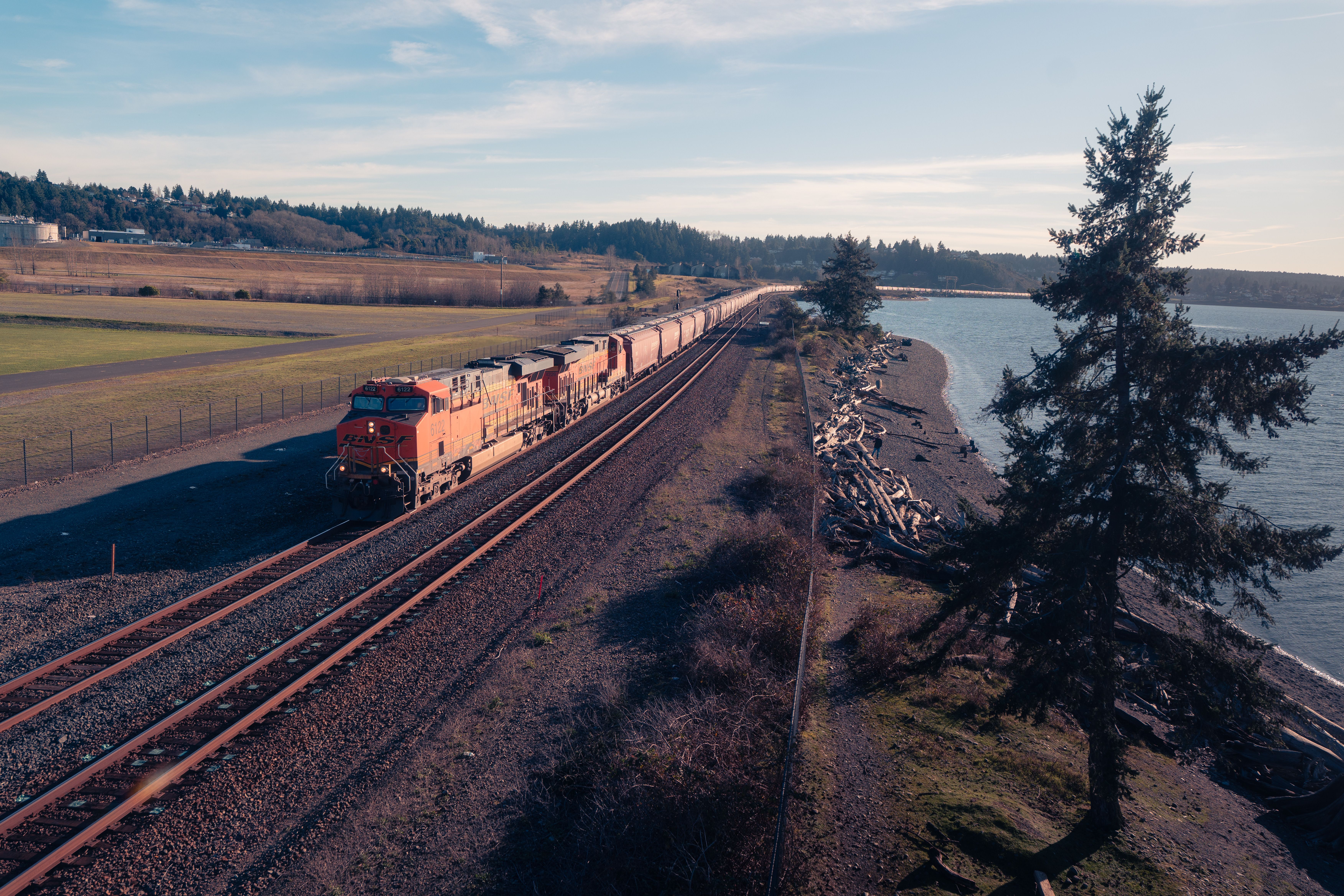 Red freight train travels along a lakeside track, flanked by trees and a clear sky.
