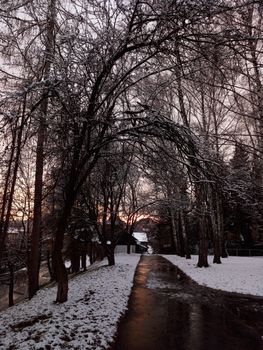 Snow-covered path through a winter forest at dusk, with bare trees and pastel sky.
