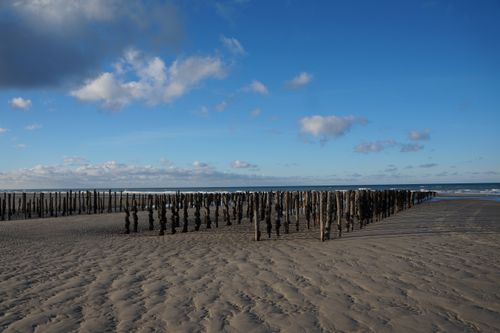 Free Serene beach landscape featuring a row of wooden breakwaters against a blue sky. Stock Photo
