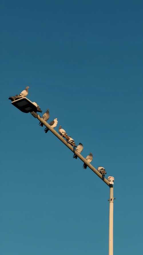 Free Basic Stock Photo