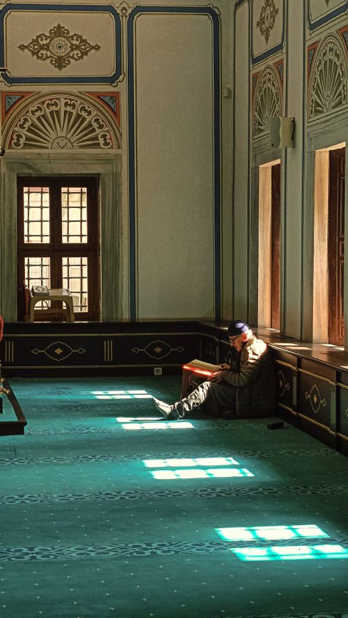 Free A person reading in the tranquility of a sunlit interior space with ornate decor. Stock Photo