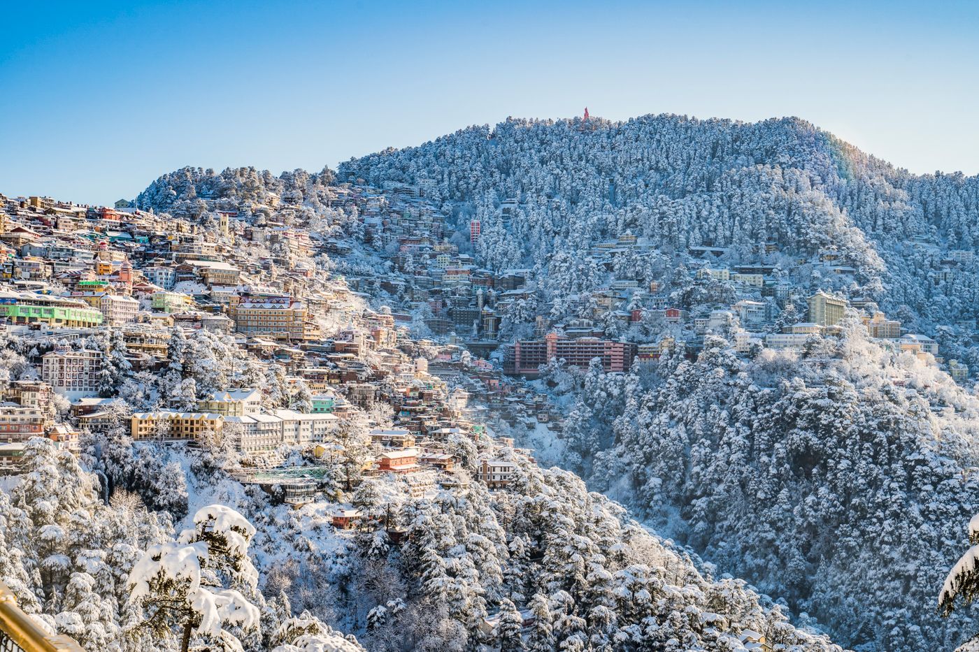 Relaxed Shimla Escape Elegance & Leisure at a Gentle Pace, photo 1 of 5